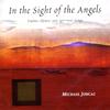 IN THE SIGHT OF THE ANGELS