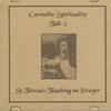 CARMELITE SPIRITUALITY: Talk 5